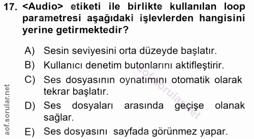 17. soru: <Audio> etiketi ile birlikte kullanılan loop parametresi aşağıdaki işlevlerden hangisini yerine getirmektedir? A) Ses…