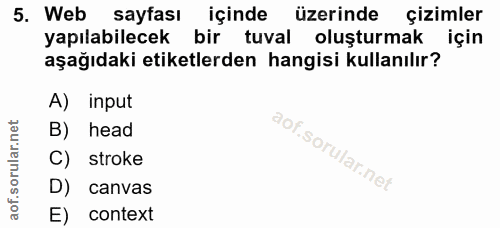 5. soru: Web sayfası içinde üzerinde çizimler yapılabilecek bir tuval oluşturmak için aşağıdaki etiketlerden hangisi kullanılı…