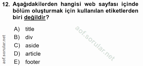 12. soru: Aşağıdakilerden hangisi web sayfası içinde bölüm oluşturmak için kullanılan etiketlerden biri değildir? A) title B) d…