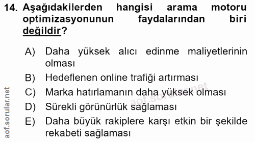 14. soru: Aşağıdakilerden hangisi arama motoru optimizasyonunun faydalarından biri değildir? A) Daha yüksek alıcı edinme maliye…