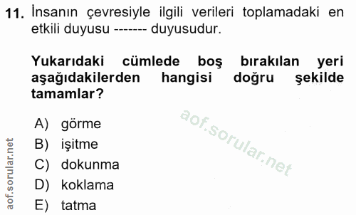 11. soru: İnsanın çevresiyle ilgili verileri toplamadaki en etkili duyusu --- duyusudur. Yukarıdaki cümlede boş bırakılan yeri…