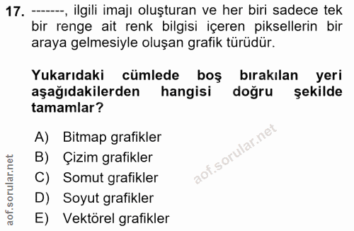 17. soru: --, ilgili imajı oluşturan ve her biri sadece tek bir renge ait renk bilgisi içeren piksellerin bir araya gelmesiyle…