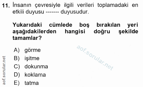 11. soru: İnsanın çevresiyle ilgili verileri toplamadaki en etkili duyusu -- duyusudur. Yukarıdaki cümlede boş bırakılan yeri a…