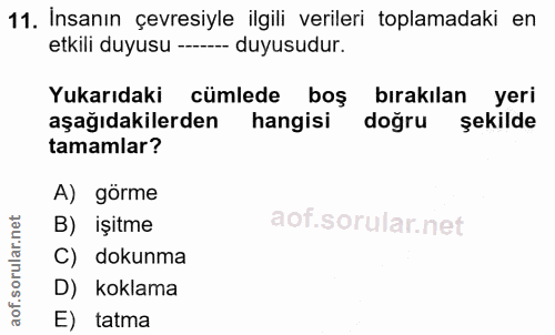 11. soru: İnsanın çevresiyle ilgili verileri toplamadaki en etkili duyusu -- duyusudur. Yukarıdaki cümlede boş bırakılan yeri a…