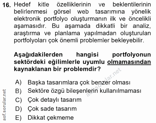 16. soru: Hedef kitle özelliklerinin ve beklentilerinin belirlenmesi görsel web tasarımına yönelik elektronik portfolyo oluştur…