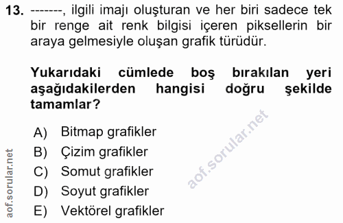 13. soru: -, ilgili imaji oluşturan ve her biri sadece tek bir renge ait renk bilgisi içeren piksellerin bir araya gelmesiyle o…