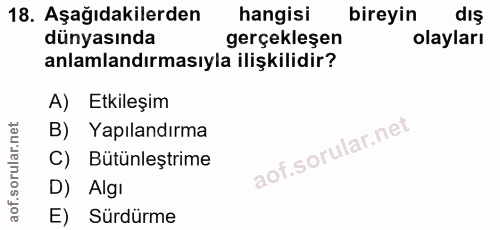 18. soru: Aşağıdakilerden hangisi bireyin dış dünyasında gerçekleşen olayları anlamlandırmasıyla ilişkilidir? A) Etkileşim B) Y…