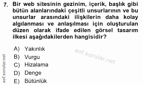 7. soru: Bir web sitesinin gezinim, içerik, başlık gibi bütün alanlarındaki çeşitli unsurlarının ve bu unsurlar arasındaki ili…