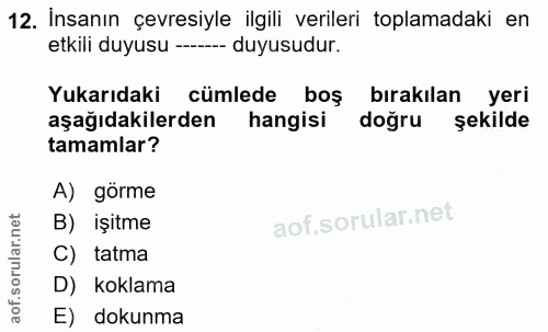 12. soru: İnsanın çevresiyle ilgili verileri toplamadaki en etkili duyusu -- duyusudur. Yukarıdaki cümlede boş bırakılan yeri a…
