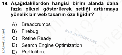 18. soru: Aşağıdakilerden hangisi birim alanda daha fazla piksel gösterilerek netliği arttırmaya yönelik bir web tasarım özelli…
