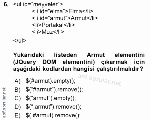 6. soru: <ul id="meyveler"> <li id="elma">Elma</li> <li id="armut">Armut</li> <li>Portakal</li> <|i>Muz</li> </ul> Yukarıdaki…
