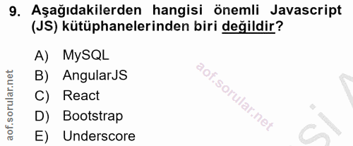 9. soru: Aşağıdakilerden hangisi önemli Javascript (JS) kütüphanelerinden biri değildir? A) MySQL B) AngularJS C) React D) Boo…