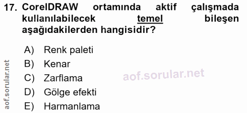 17. soru: Core DRAW ortaminda aktif çalışmada kullanılabilecek temel bileşen aşağıdakilerden hangisidir? A) Renk paleti B) Kena…
