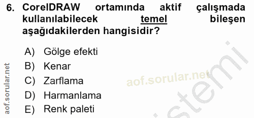 6. soru: CoreIDRAW ortamında aktif çalışmada kullanılabilecek temel bileşen aşağıdakilerden hangisidir? A) Golge efekti B) Ken…