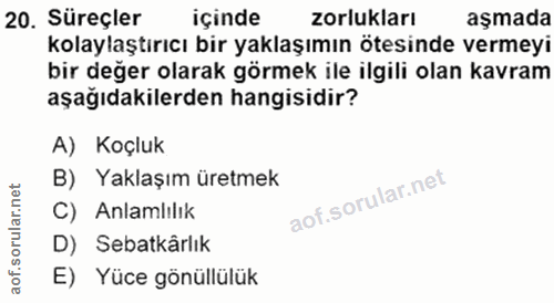 20. soru: Süreçler içinde zorlukları aşmada kolaylaştırıcı bir yaklaşımın ötesinde vermeyi bir değer olarak görmek ile ilgili o…