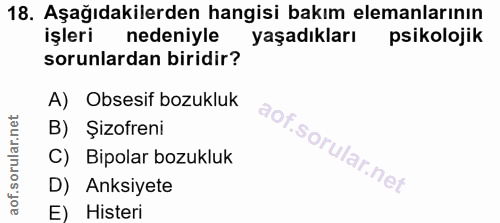 18. soru: Aşağıdakilerden hangisi bakım elemanlarının işleri nedeniyle yaşadıkları psikolojik sorunlardan biridir? A) Obsesif b…