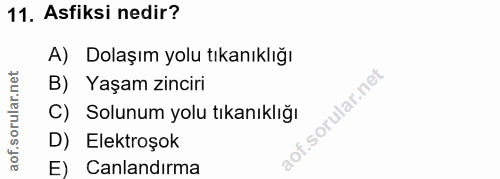11. soru: Asfiksi nedir? A) Dolaşım yolu tıkanıklığı B) Yaşam zinciri C) Solunum yolu tıkanıklığı D) Elektroşok E) Canlandırma