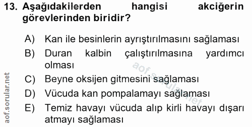 13. soru: Aşağıdakilerden hangisi akciğerin görevlerinden biridir? A) Kan ile besinlerin ayrıştırılmasını sağlaması B) Duran ka…