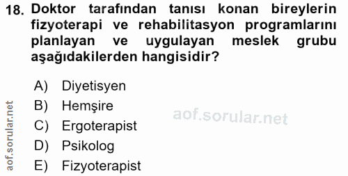 18. soru: Doktor tarafından tanısı konan bireylerin fizyoterapi ve rehabilitasyon programlarını planlayan ve uygulayan meslek g…