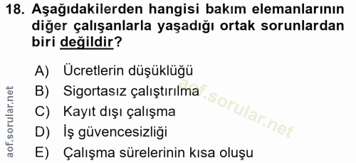 18. soru: Aşağıdakilerden hangisi bakım elemanlarının diğer çalışanlarla yaşadığı ortak sorunlardan biri değildir? A) Ücretleri…