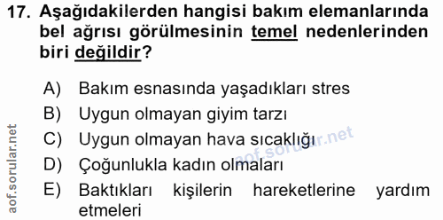 17. soru: Aşağıdakilerden hangisi bakım elemanlarında bel ağrısı görülmesinin temel nedenlerinden biri değildir? A) Bakım esnas…