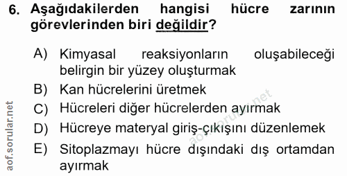 6. soru: Aşağıdakilerden hangisi hücre zarinin görevlerinden biri değildir? A) Kimyasal reaksiyonların oluşabileceği belirgin…