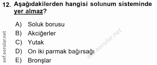 12. soru: Aşağıdakilerden hangisi solunum sisteminde yer almaz? Soluk borusu Akciğerler Yutak aof. E) Bronşlar