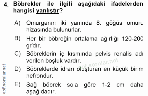4. soru: Böbrekler ile ilgili aşağıdaki ifadelerden hangisi yanlıştır? A) Omurganın iki yanında 8. göğüs omuru hizasında bulun…