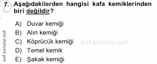 7. soru: Aşağıdakilerden hangisi kafa kemiklerinden biri değildir? A) Duvar kemiği B) Alın kemiği C) Köprücük kemiği D) Temel…
