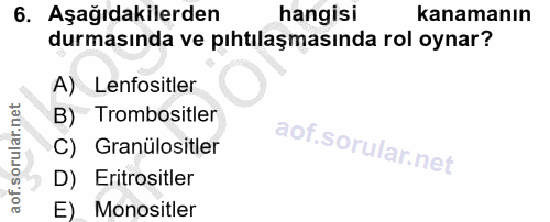 6. soru: Aşağıdakilerden hangisi kanamanın durmasında ve pıhtılaşmasında rol oynar? A) Lenfositler B) Trombositler C) Granülos…
