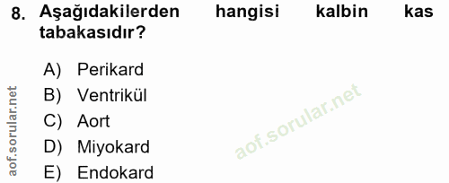 8. soru: Aşağıdakilerden hangisi kalbin kas tabakasıdır? A) Perikard B) Ventrikül C) Aort D) Miyokard E) Endokard
