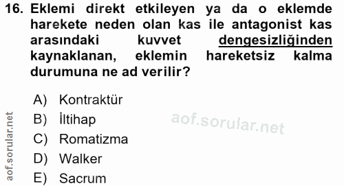 16. soru: Eklemi direkt etkileyen ya da o eklemde harekete neden olan kas ile antagonist kas arasındaki kuvvet dengesizliğinden…