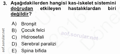 3. soru: Aşağıdakilerden hangisi kas-iskelet sistemini doğrudan etkileyen hastalıklardan biri değildir? A) Bronșit B) Çocuk fe…