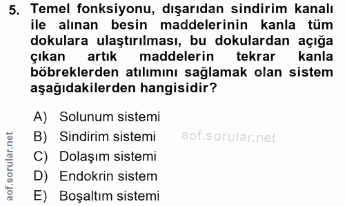 5. soru: Temel fonksiyonu, dışarıdan sindirim kanalı ile alınan besin maddelerinin kanla tüm dokulara ulaştırılması, bu dokula…