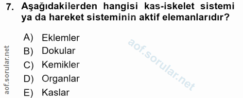7. soru: Aşağıdakilerden hangisi kas-iskelet sistemi ya da hareket sisteminin aktif elemanlarıdır? A) Eklemler B) Dokular C) K…