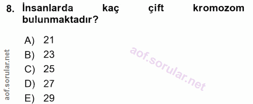 8. soru: Insanlarda kaç çift kromozom bulunmaktadır? A) 21 B) 23 C) 25 D) 27 E) 29