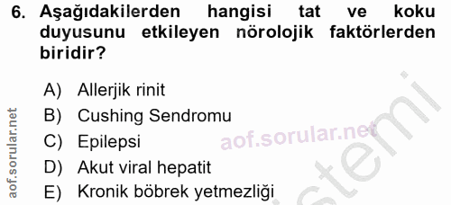6. soru: Aşağıdakilerden hangisi tat ve • koku duyusunu etkileyen nörolojik faktörlerden biridir? A) Allerjik rinit B) Cushing…