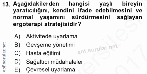 13. soru: Aşağıdakilerden hangisi yaşlı bireyin yaratıcılığını, kendini ifade edebilmesini ve normal yaşamını sürdürmesini sağl…