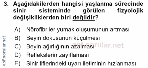 3. soru: Aşağıdakilerden hangisi yaşlanma sürecinde sinir sisteminde görülen fizyolojik değişikliklerden biri değildir? A) Nör…