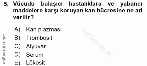 5. soru: Vücudu bulaşıcı hastalıklara ve yabancı maddelere karşı koruyan kan hücresine ne ad verilir? A) Kan plazması B) Tromb…