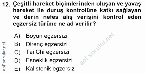12. soru: Çeşitli hareket biçimlerinden oluşan ve yavaş hareket ile duruş kontrolüne katkı sağlayan ve derin nefes alış verişin…