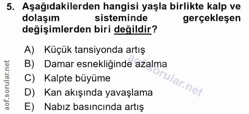 5. soru: Aşağıdakilerden hangisi yaşla birlikte kalp ve dolaşım sisteminde gerçekleşen değişimlerden biri değildir? A) Küçük t…