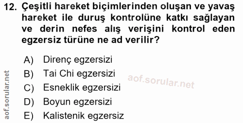 12. soru: Çeşitli hareket biçimlerinden oluşan ve yavaş hareket ile duruş kontrolüne katkı sağlayan ve derin nefes alış verişin…