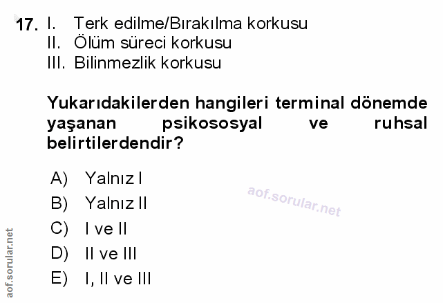 17. soru: I. Terk edilme/Bırakılma korkusu Il. Olüm süreci korkusu Ill. Bilinmezlik korkusu Yukarıdakilerden hangileri terminal…