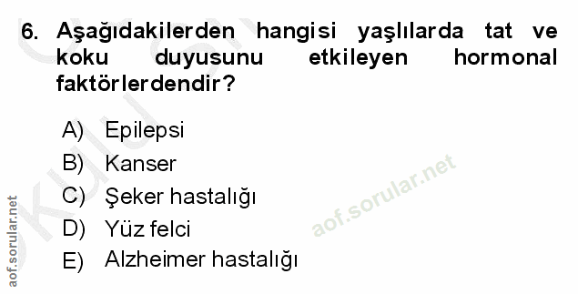 6. soru: Aşağıdakilerden hangisi yaşlılarda tat ve koku duyusunu etkileyen hormonal faktörlerdendir? A) Epilepsi B) Kanser C)…