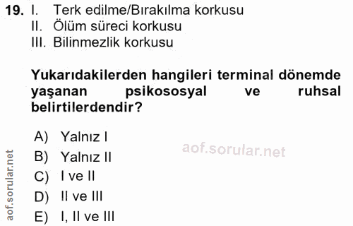 19. soru: I. Terk edilme/Bırakılma korkusu II. Ölüm süreci korkusu IlI. Bilinmezlik korkusu Yukarıdakilerden hangileri terminal…