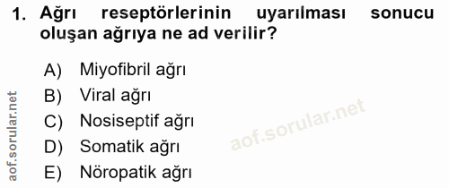 1. soru: Ağrı reseptörlerinin uyarılması sonucu oluşan ağrıya ne ad verilir? A) Miyotibril ağrı B) Viral ağrı C) Nosiseptif ağ…