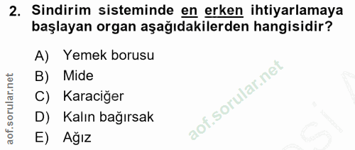 2. soru: Sindirim sisteminde en erken ihtiyarlamaya başlayan organ aşağıdakilerden hangisidir? A) Yemek borusu B) Mide C) Kara…