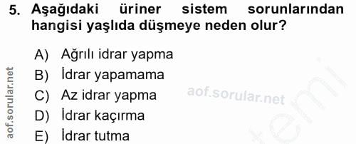 5. soru: Aşağıdaki üriner sistem sorunlarından hangisi yaşlıda düşmeye neden olur? A) Ağrılı idrar yapma B) Idrar yapamama C)…
