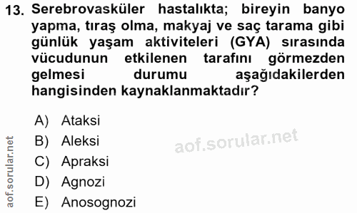 13. soru: Serebrovasküler hastalıkta; bireyin banyo yapma, tıraş olma, makyaj ve saç tarama gibi günlük yaşam aktiviteleri (GYA…